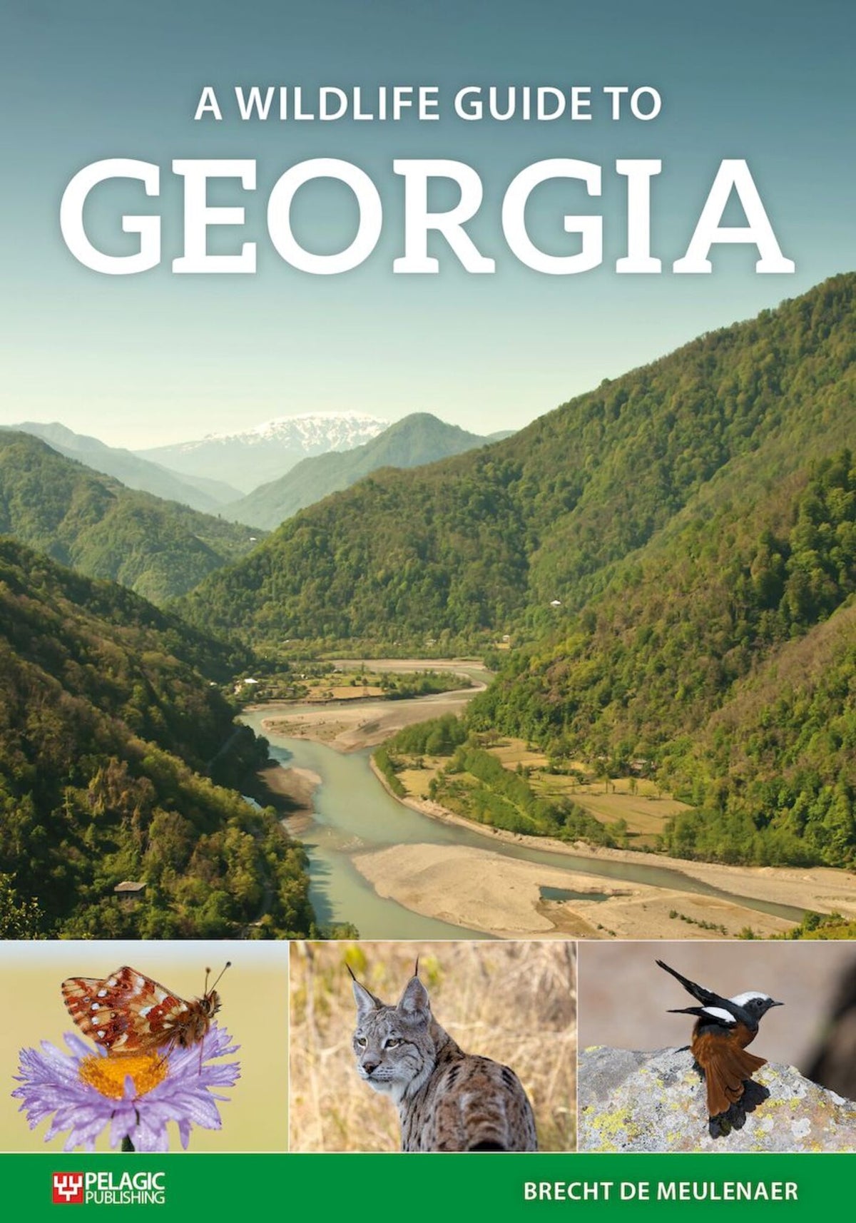 Cover image for A Wildlife Guide to Georgia ISBN 9781784273019