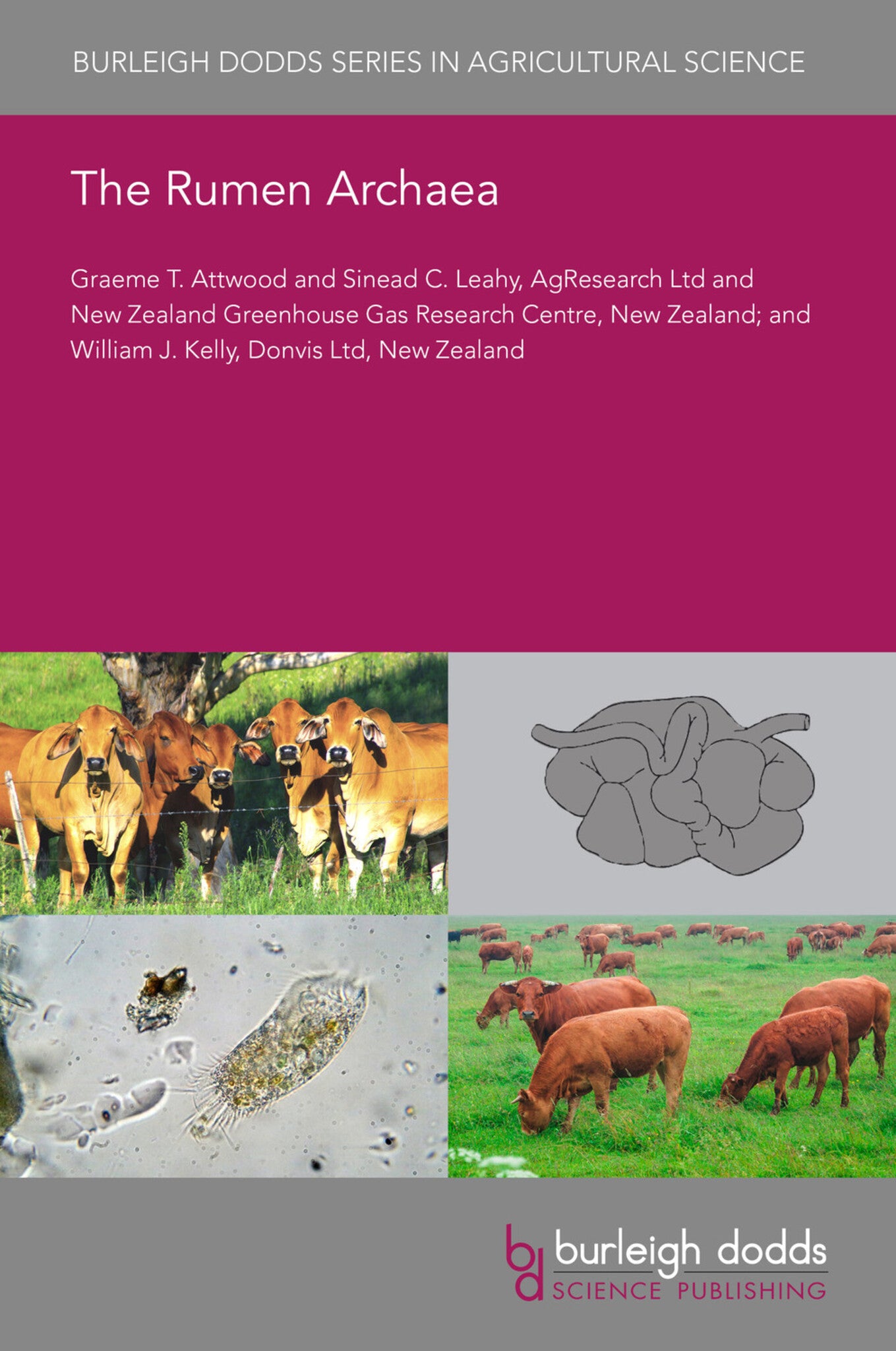 The Rumen Archaea