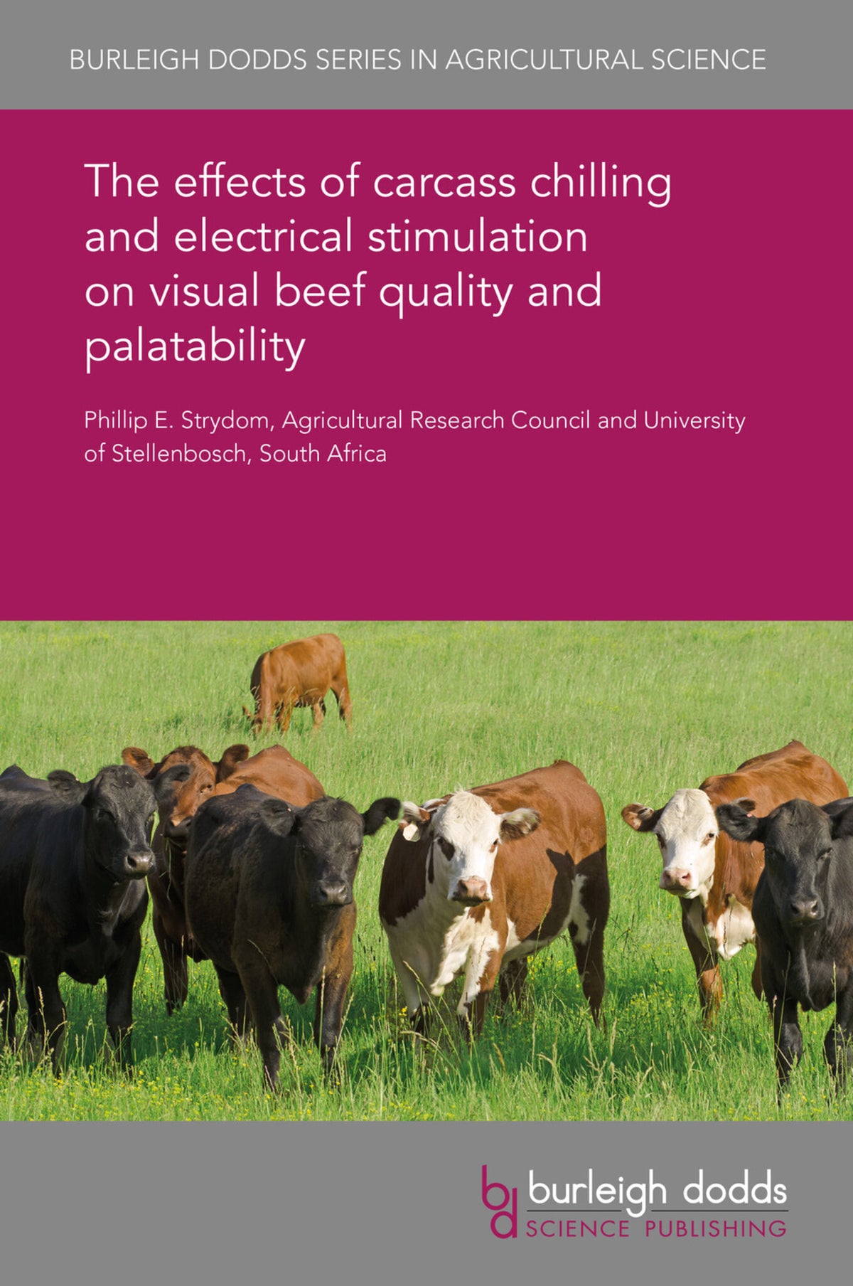 Cover image for The effects of carcass chilling and electrical stimulation on visual beef quality and palatability ISBN 9781838790387