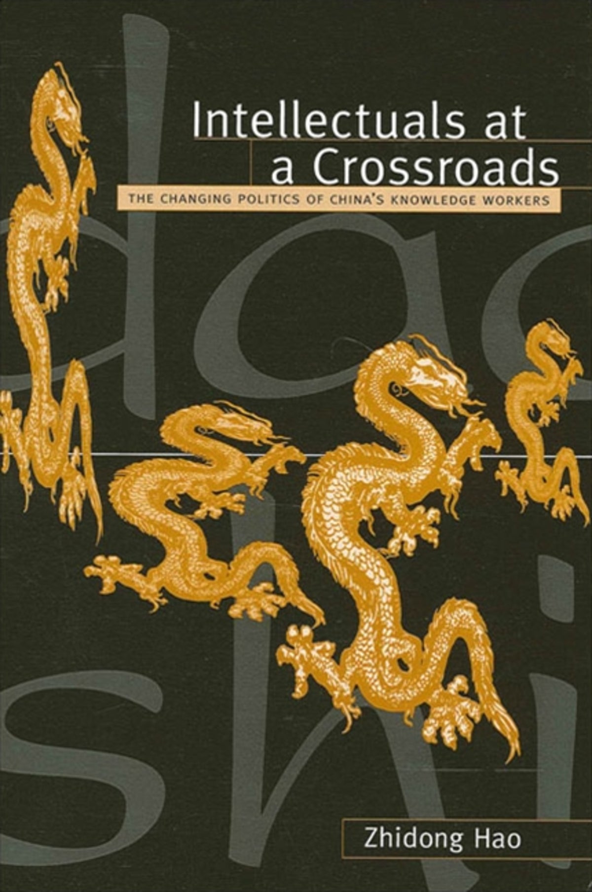 Cover image for Intellectuals at a Crossroads ISBN 9780791455807