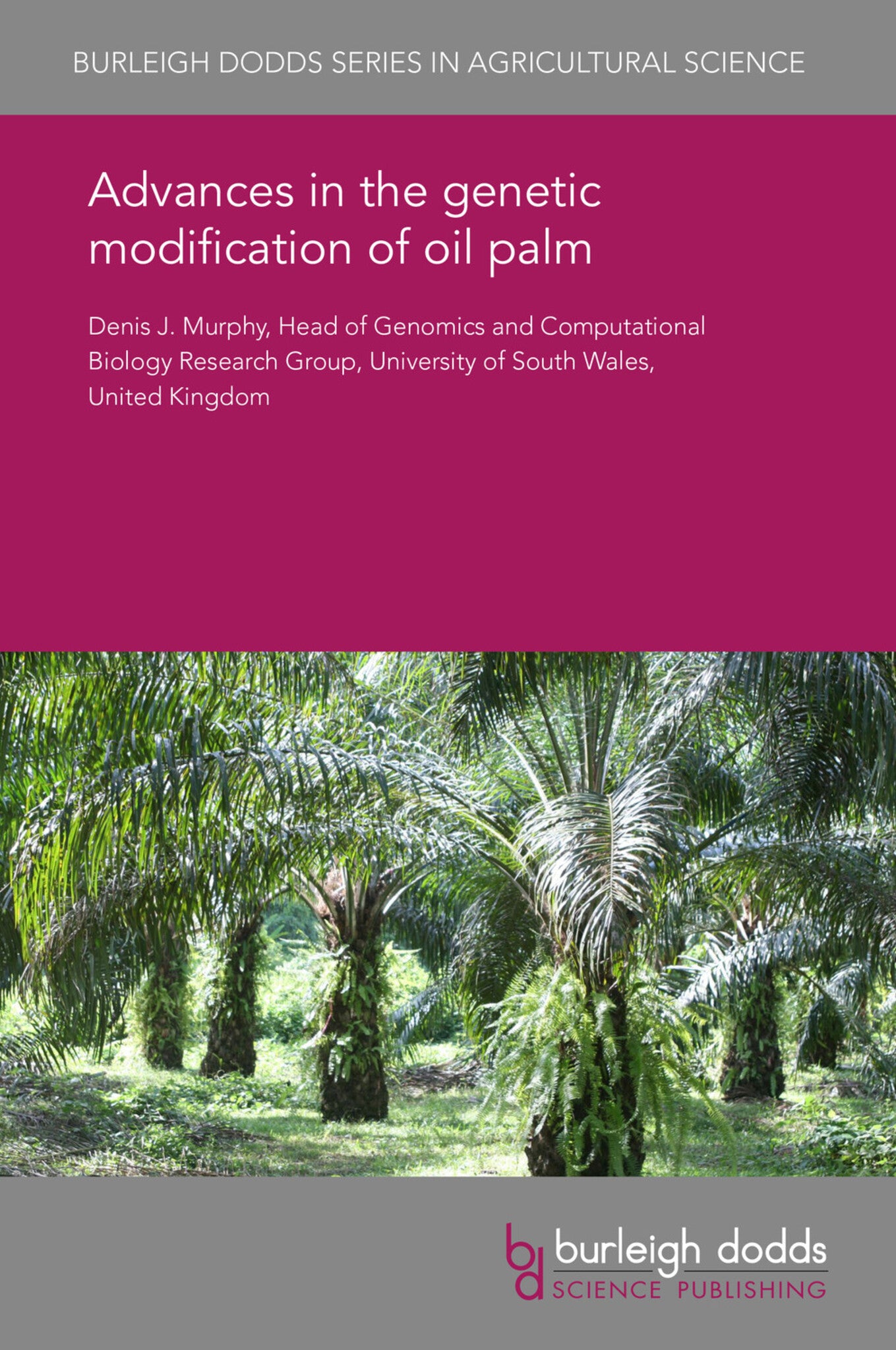 Advances in the genetic modification of oil palm