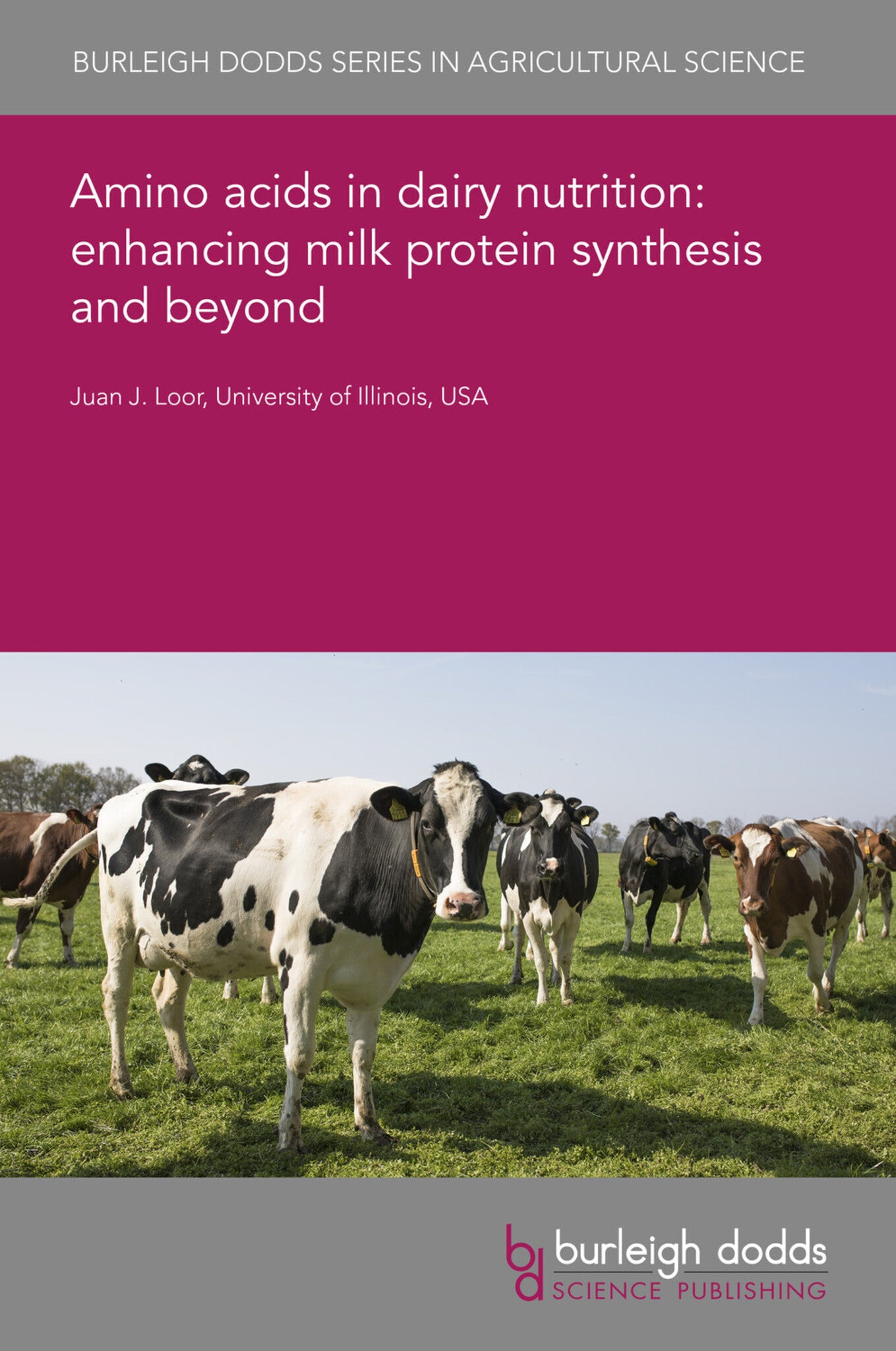 Amino acids in dairy nutrition: enhancing milk protein synthesis and beyond