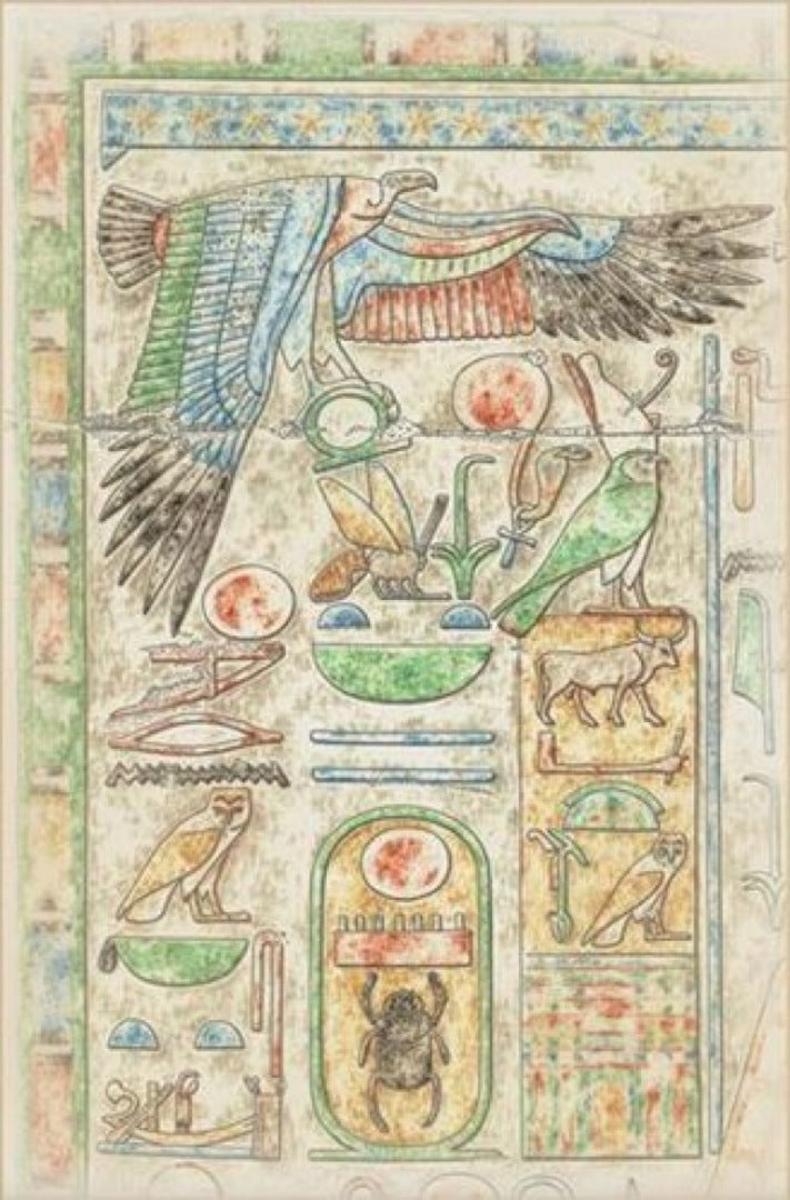 Cover image for Medinet Habu X ISBN 9781614911036