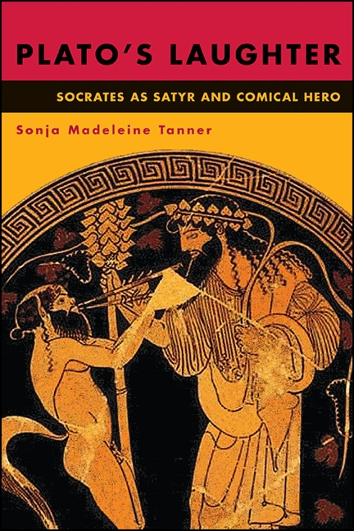 Cover image for Plato's Laughter ISBN 9781438467375