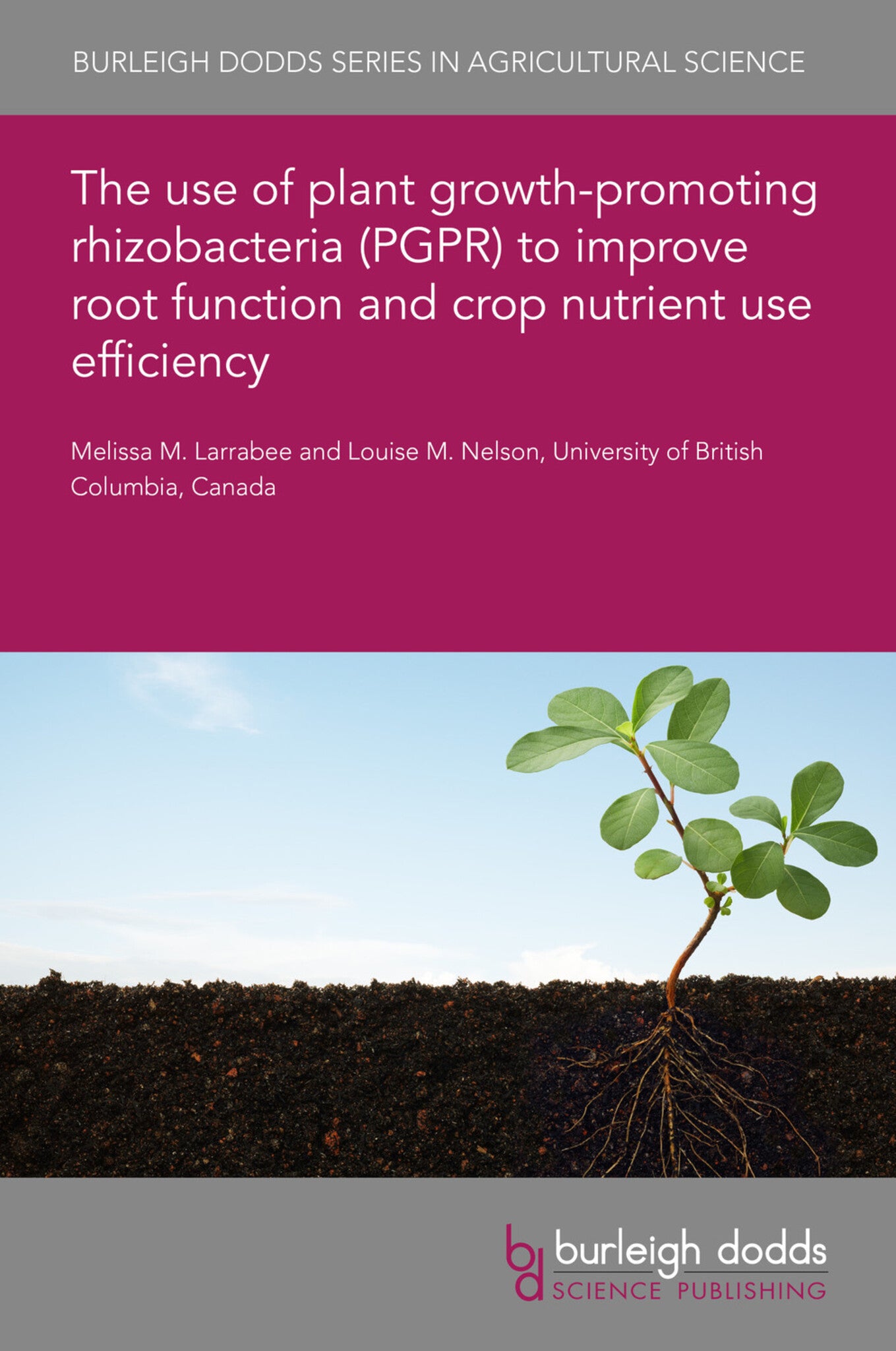 The use of plant growth-promoting rhizobacteria (PGPR) to improve root function and crop nutrient use efficiency