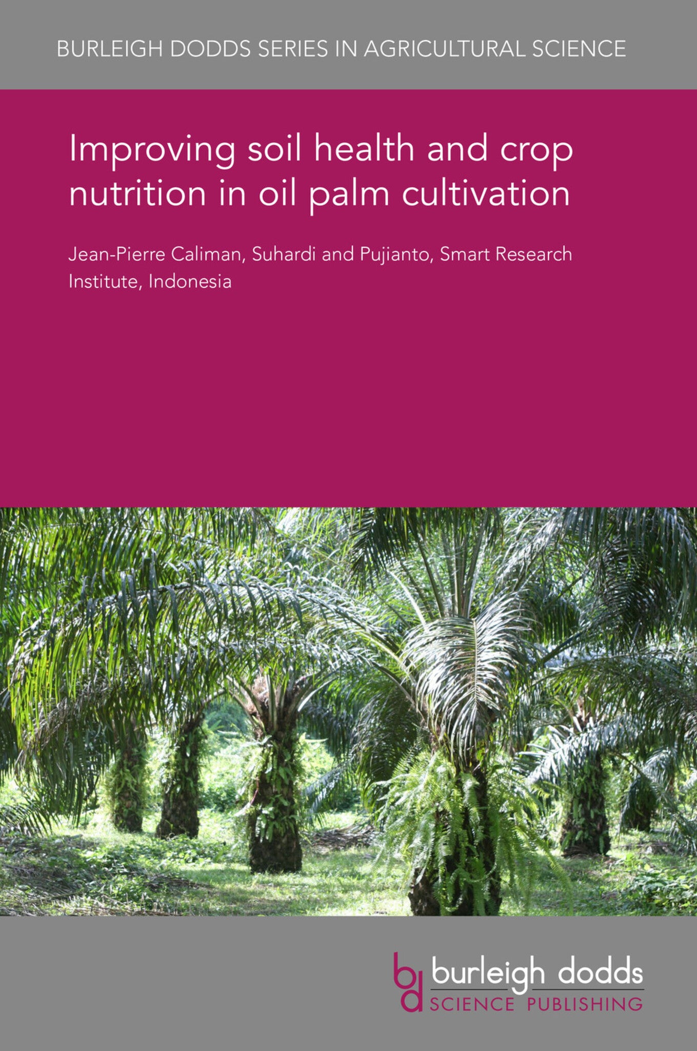 Improving soil health and crop nutrition in oil palm cultivation