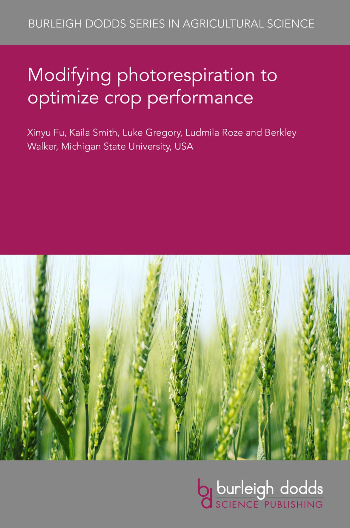 Modifying photorespiration to optimize crop performance