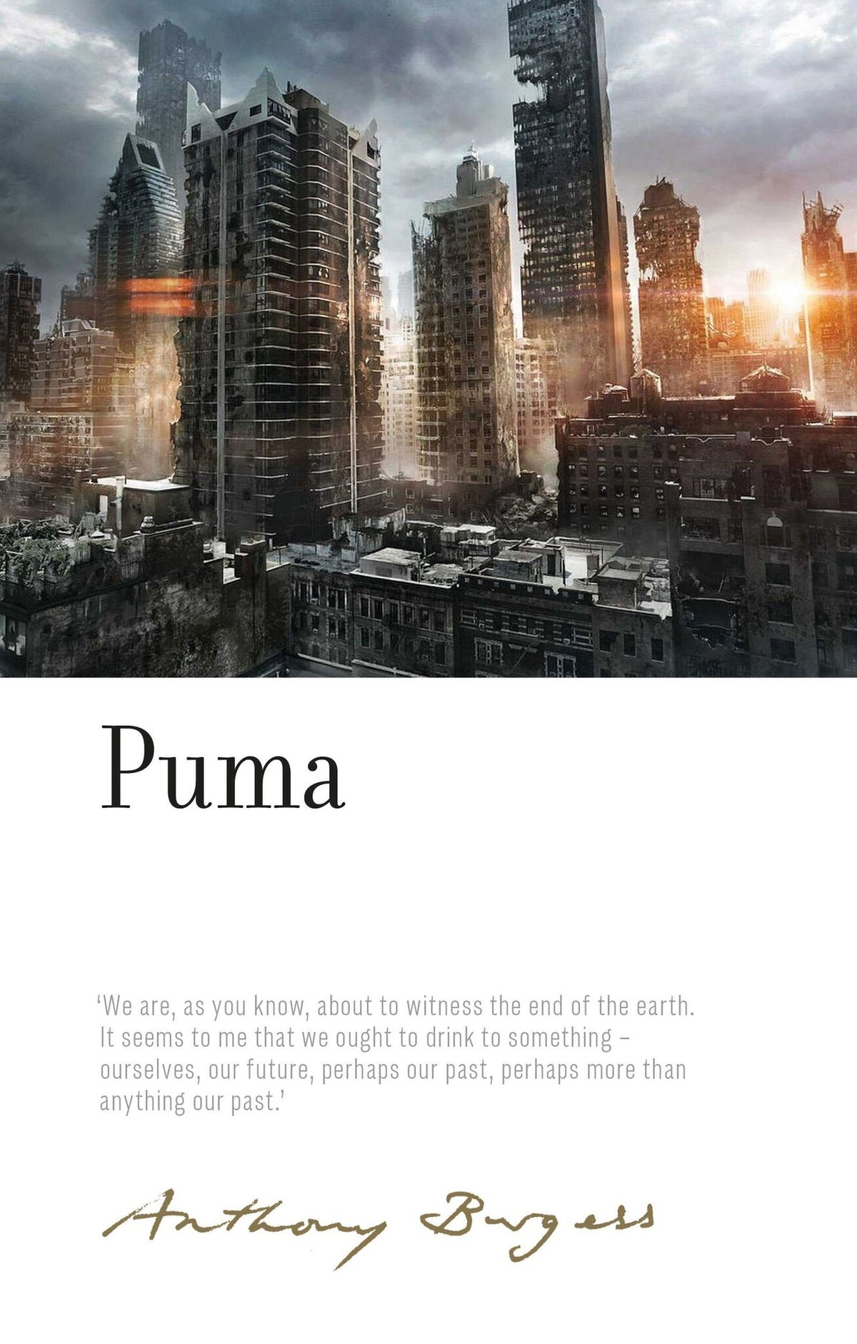 Cover image for Puma ISBN 9781526132734