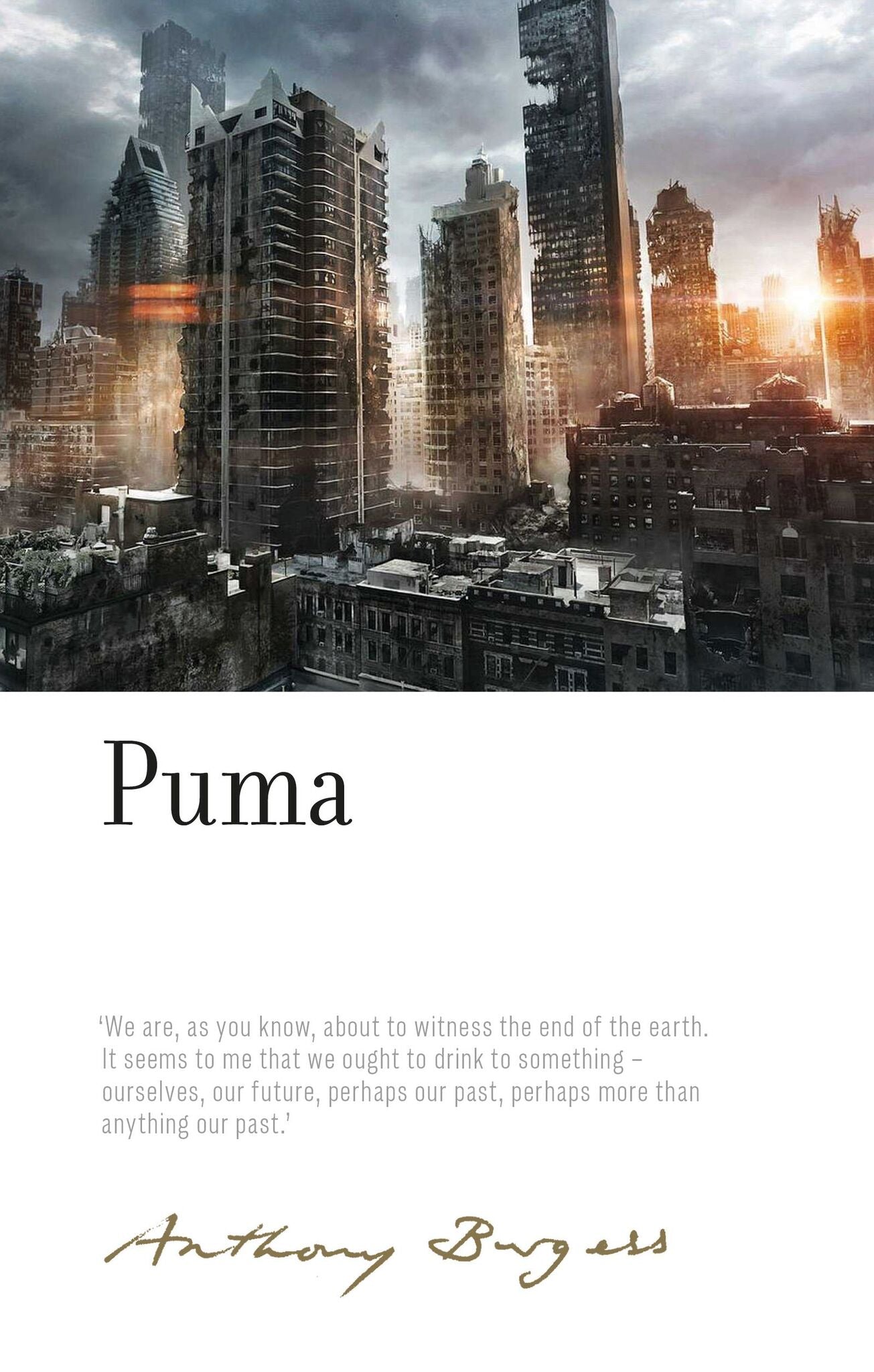Cover image for Puma ISBN 9781526132734