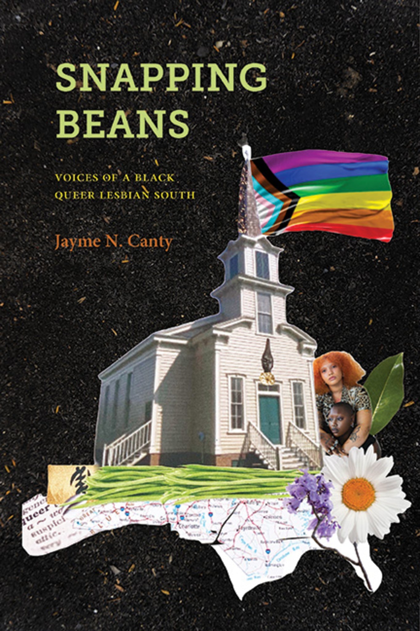 Cover image for Snapping Beans ISBN 9781438498911