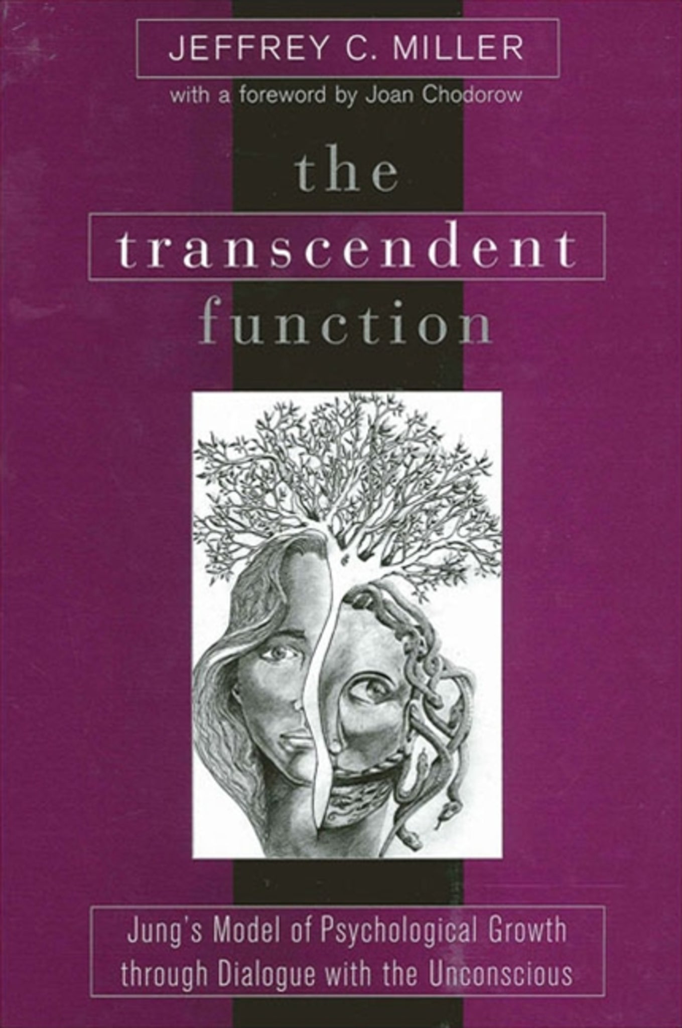 The Transcendent Function