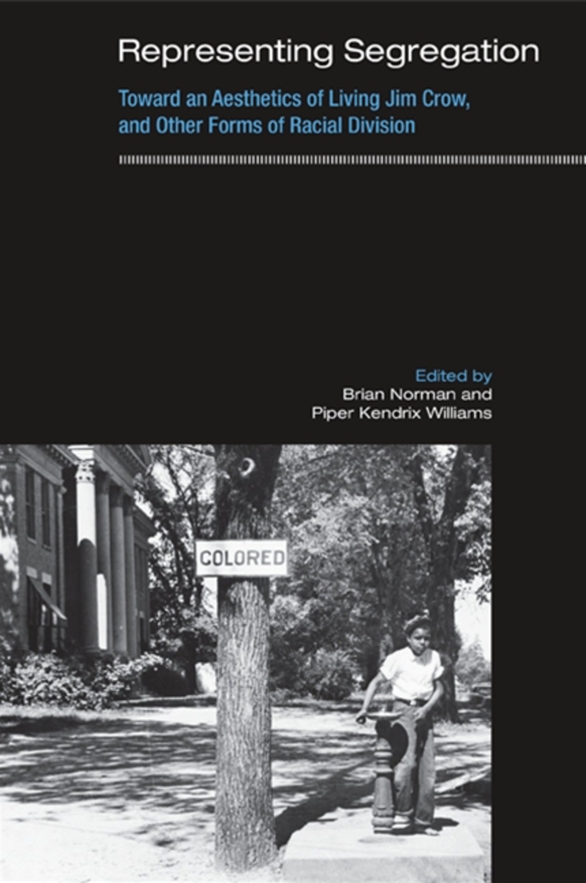 Cover image for Representing Segregation ISBN 9781438430331