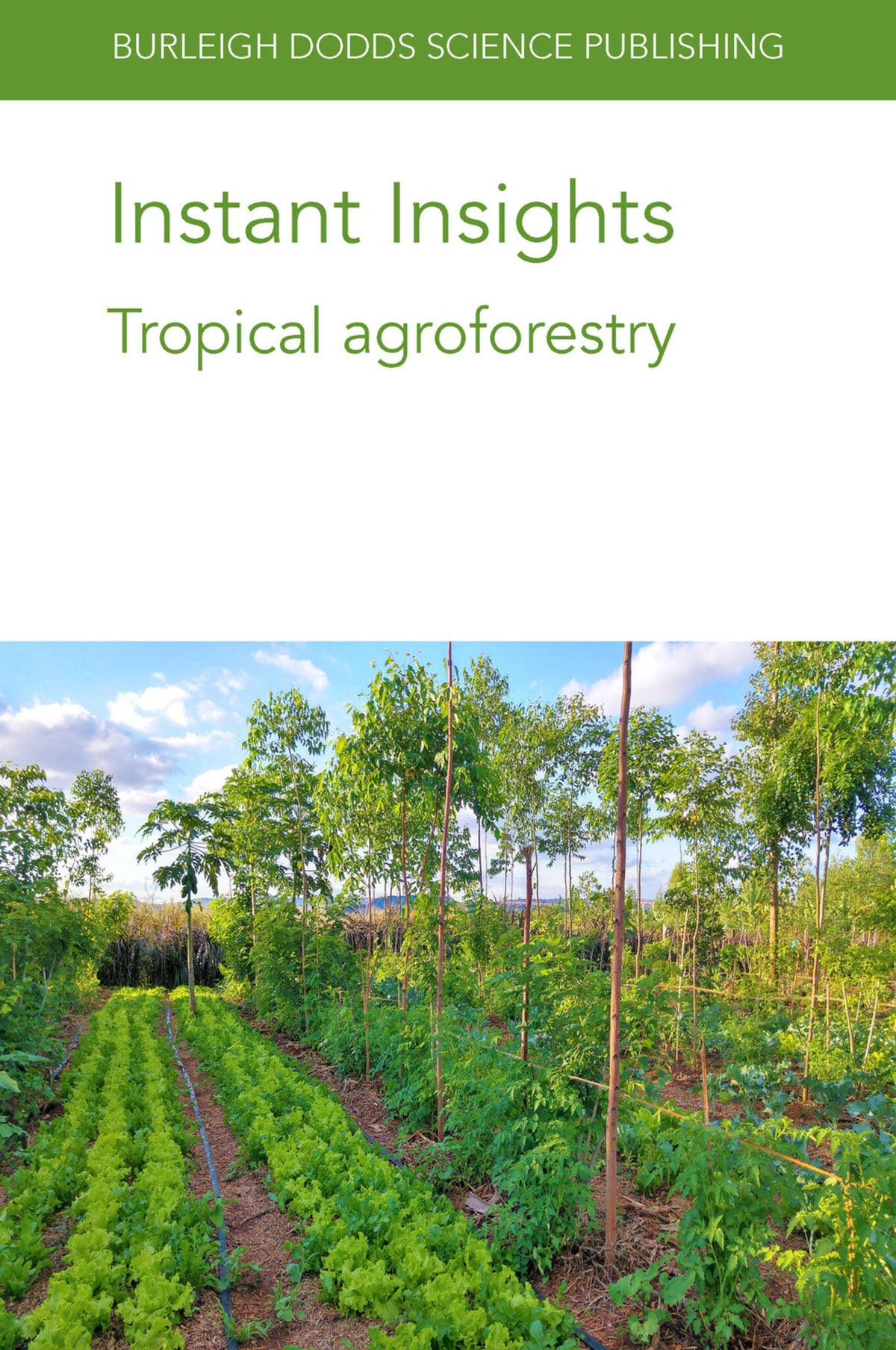 Cover image for Instant Insights: Tropical agroforestry ISBN 9781801462822