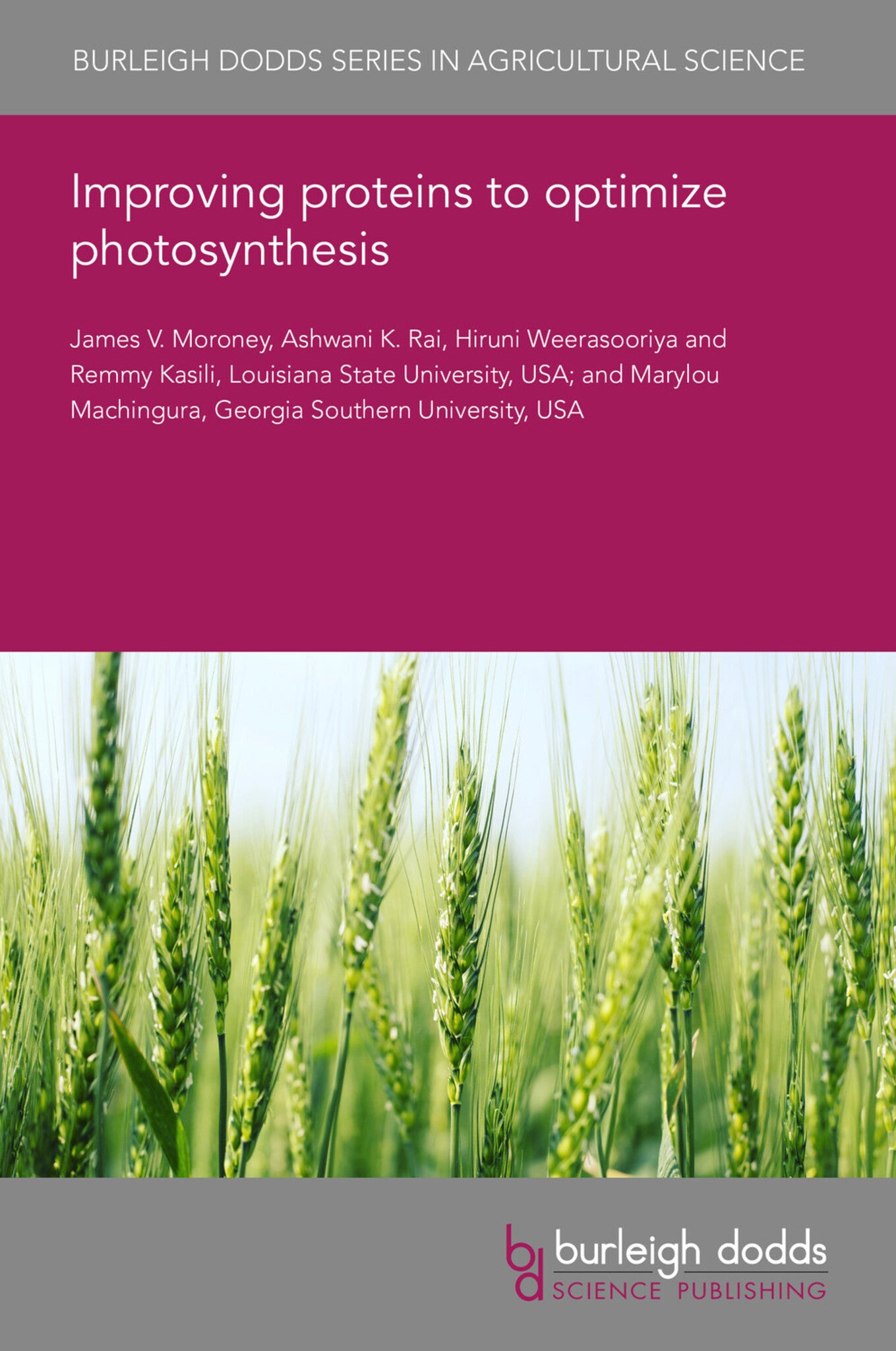 Improving proteins to optimize photosynthesis