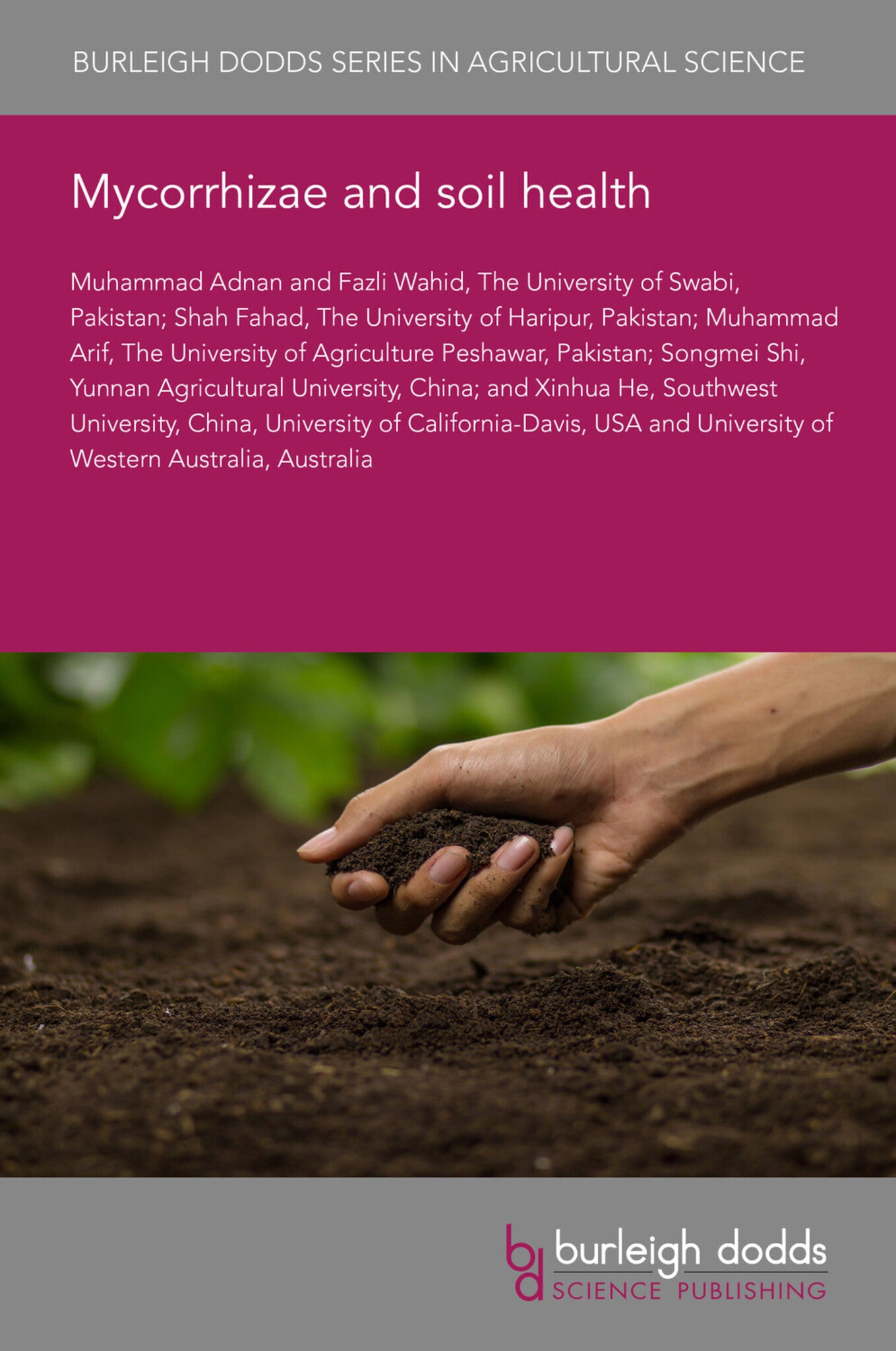 Mycorrhizae and soil health