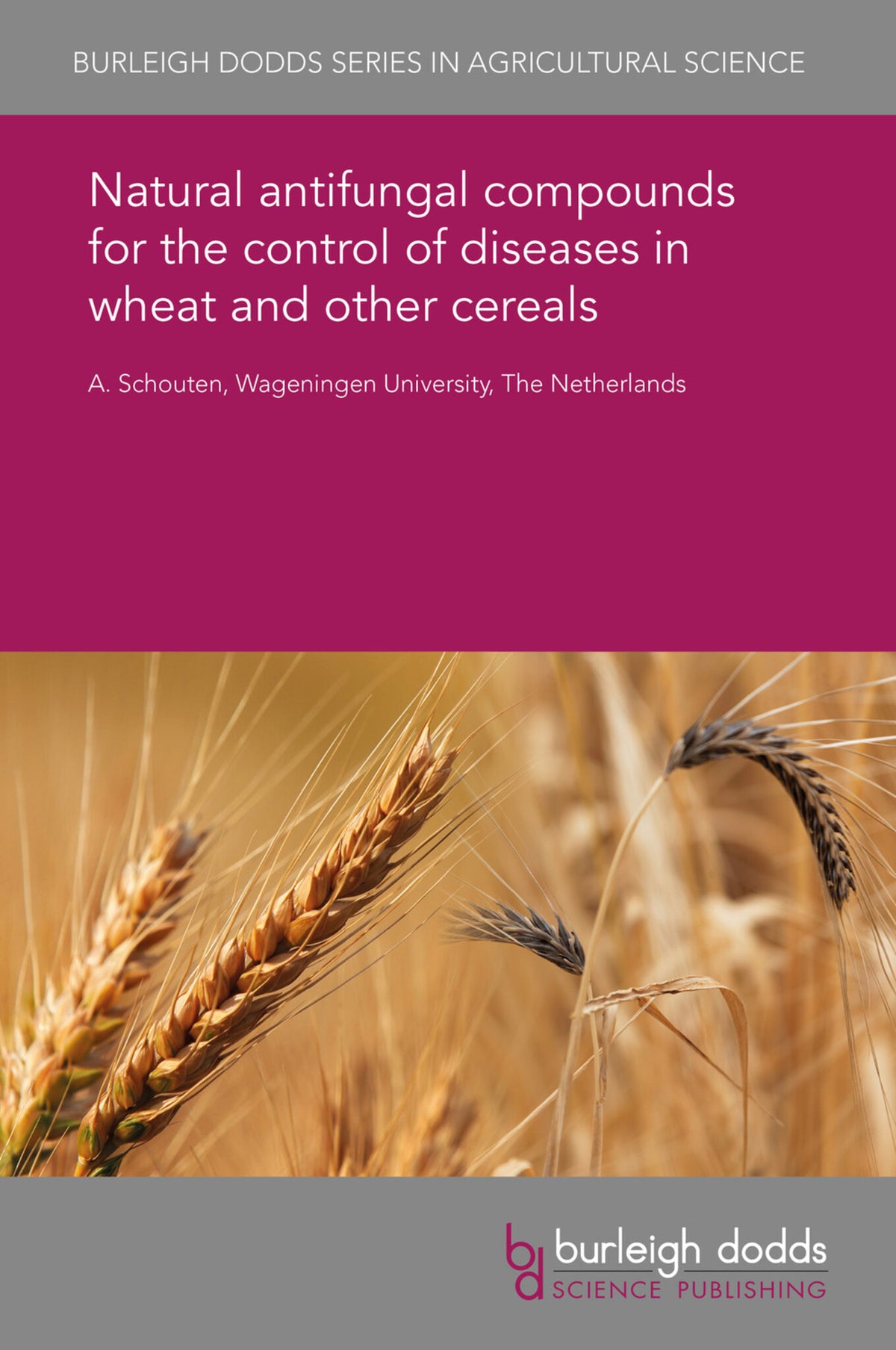 Cover image for Natural antifungal compounds for the control of diseases in wheat and other cereals ISBN 9781838797485