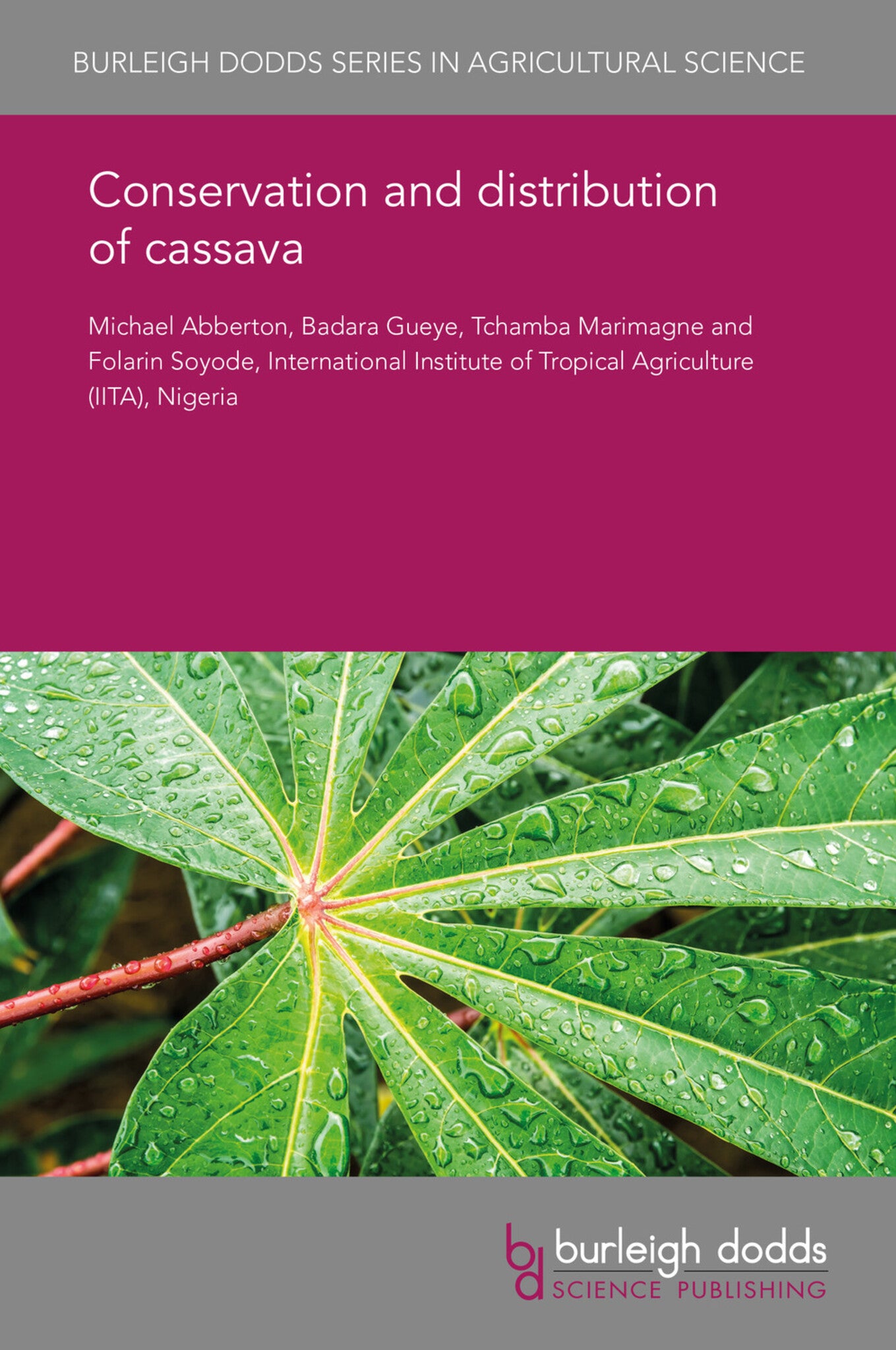 Conservation and distribution of cassava