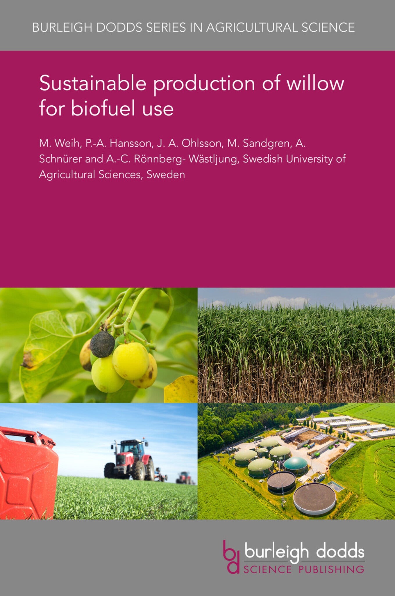 Sustainable production of willow for biofuel use