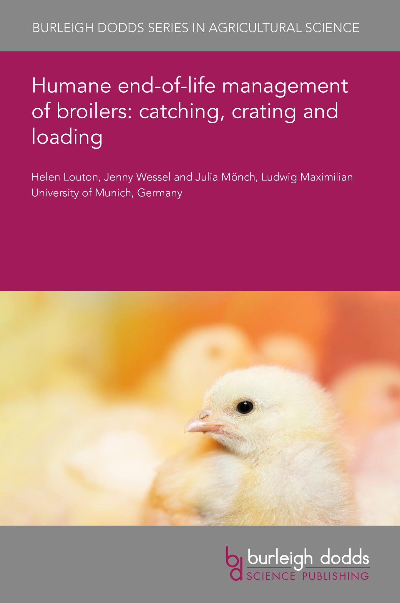 Humane end-of-life management of broilers: catching, crating and loading