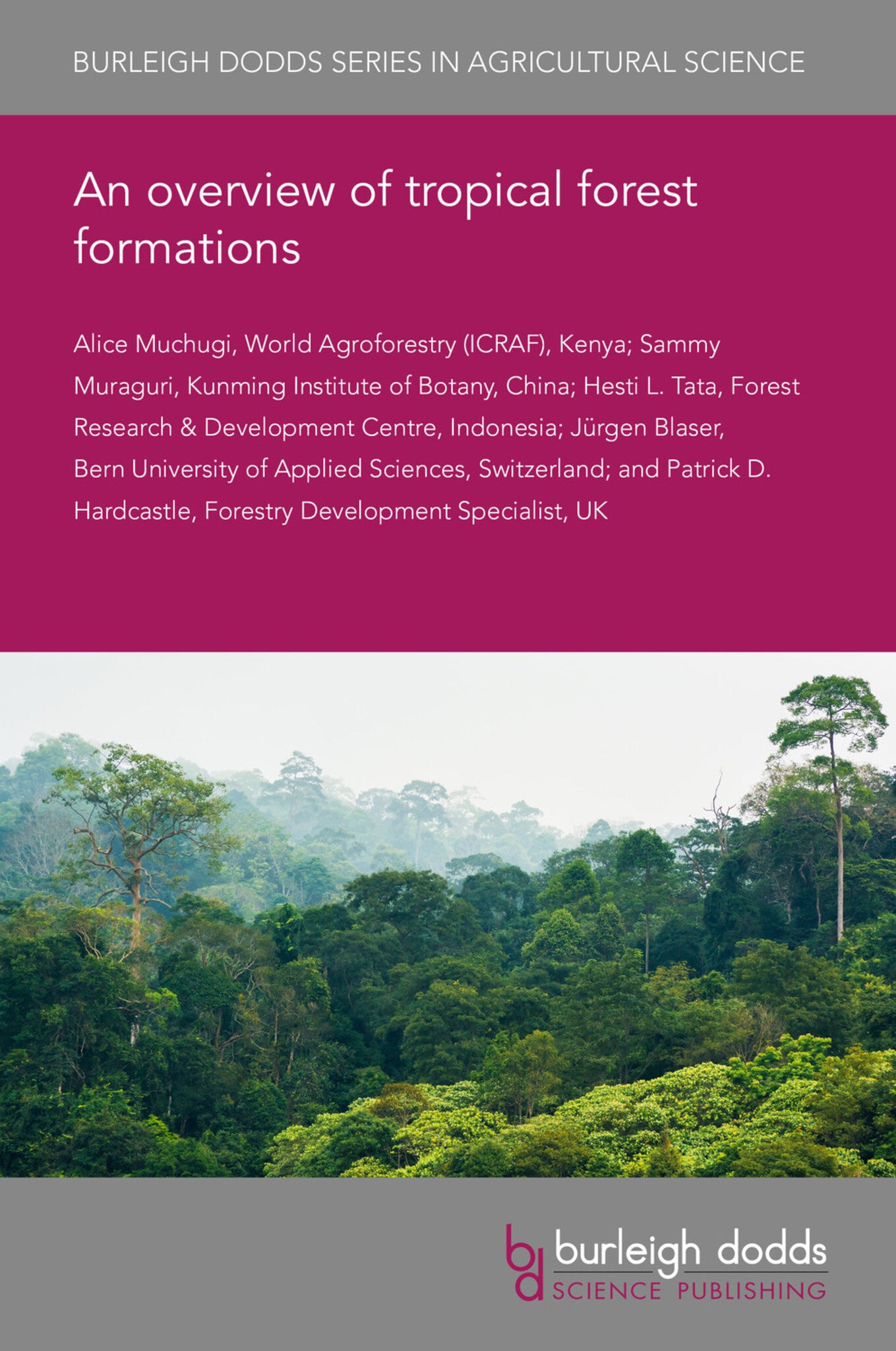 An overview of tropical forest formations