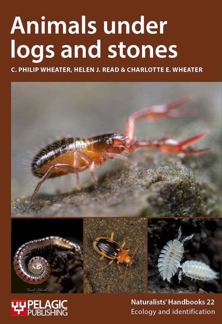 Cover image for Animals under logs and stones ISBN 9781784274177