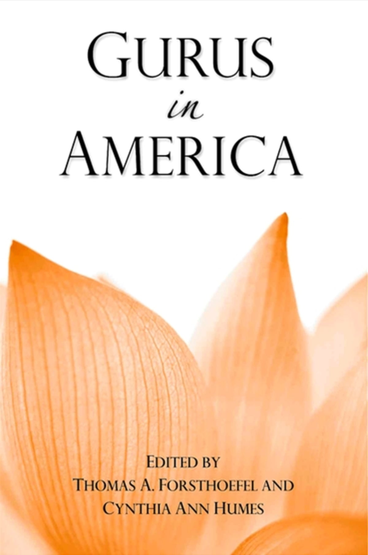 Cover image for Gurus in America ISBN 9780791465738