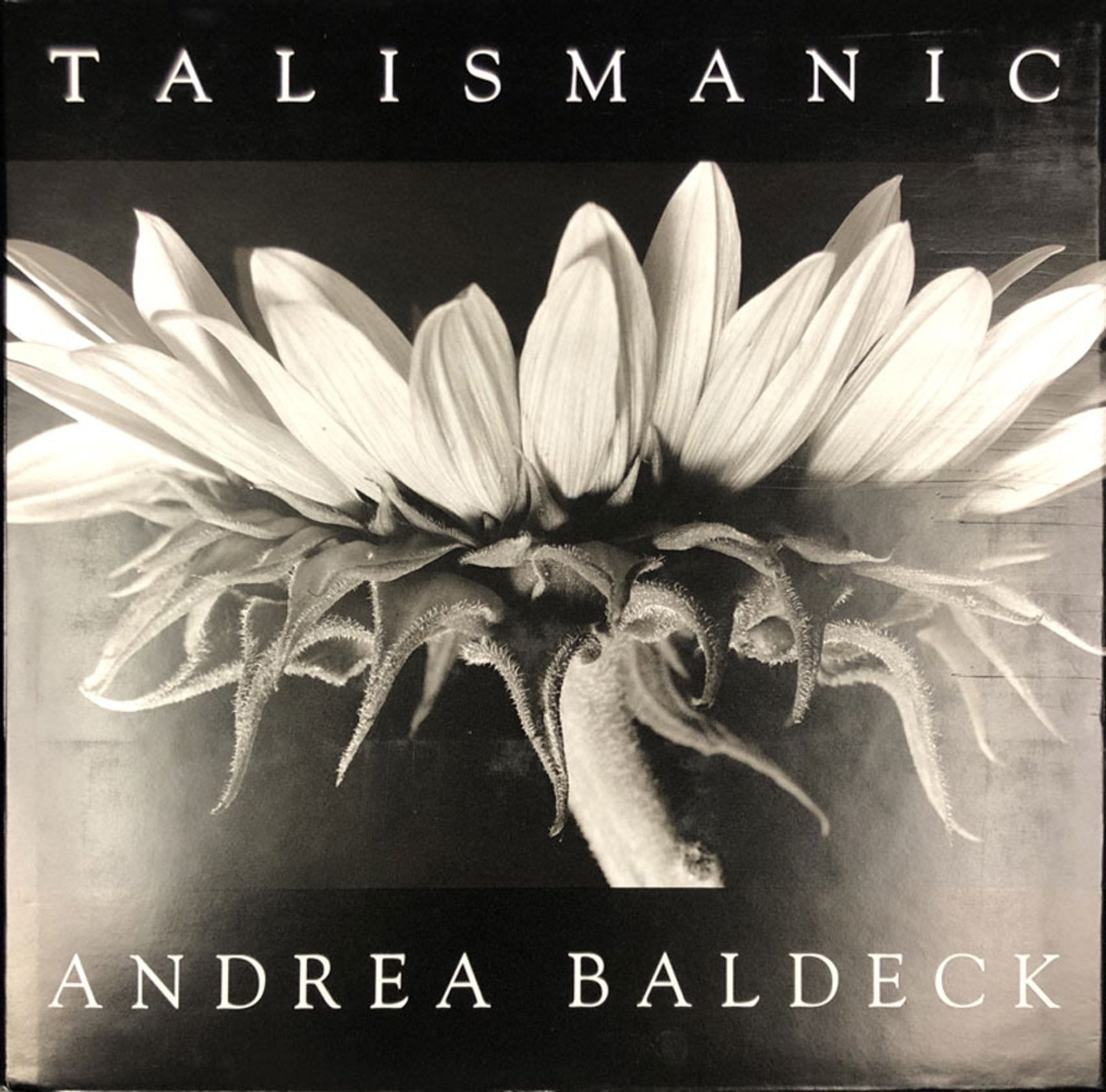 Cover image for Talismanic ISBN 9781931707589
