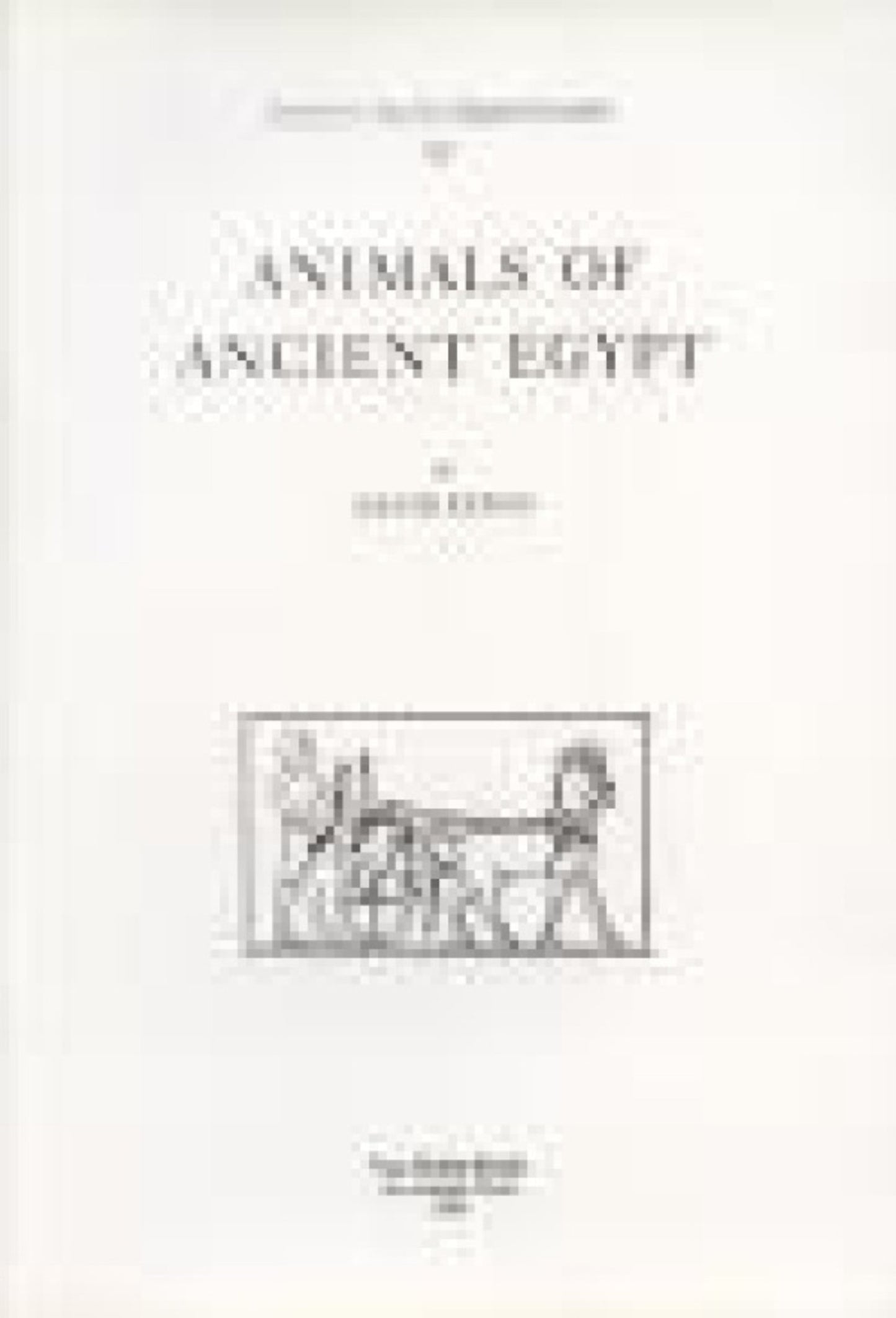 Cover image for Animals of Ancient Egypt ISBN 9780933175372
