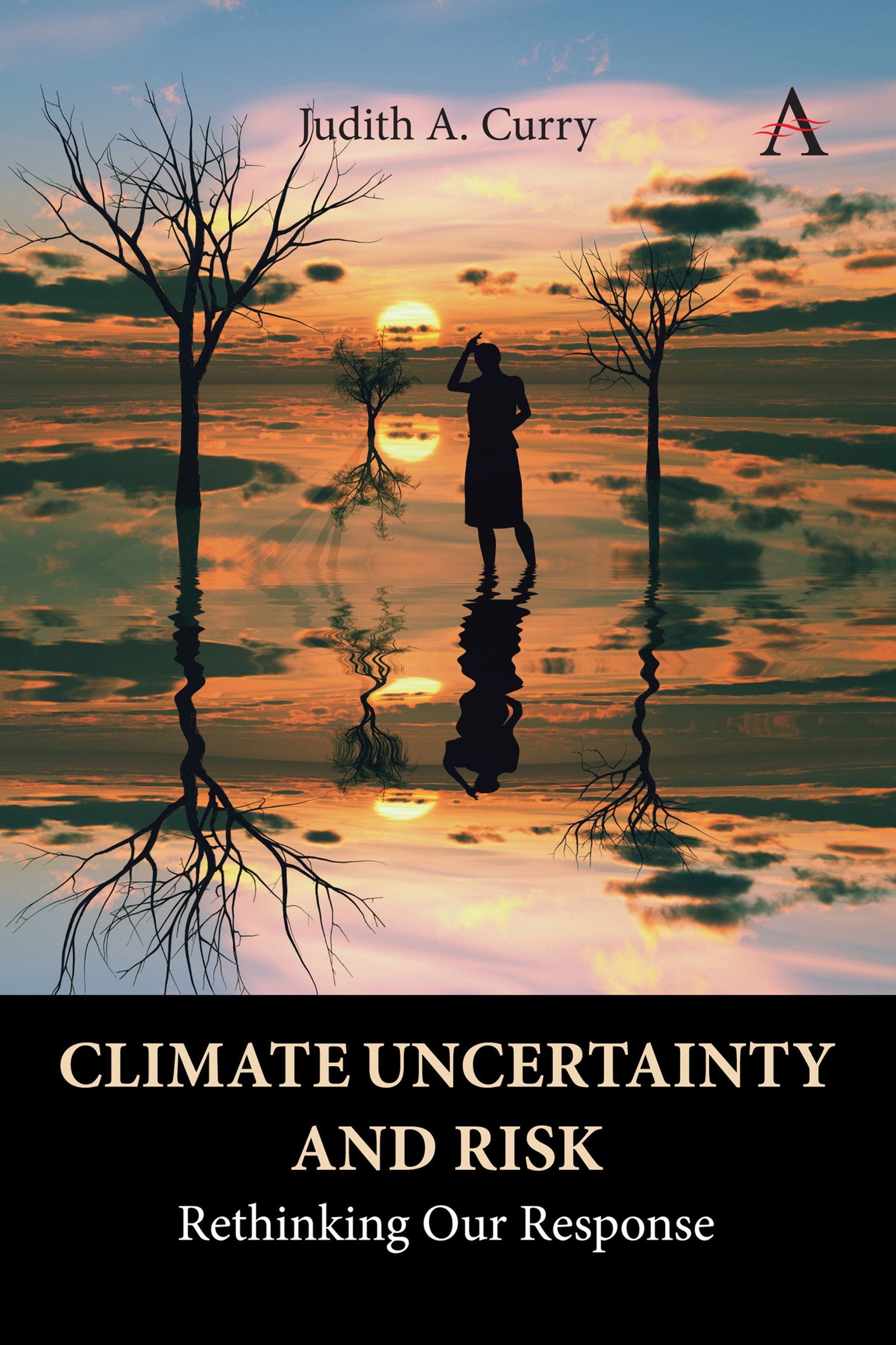 Cover image for Climate Uncertainty and Risk ISBN 9781785278181