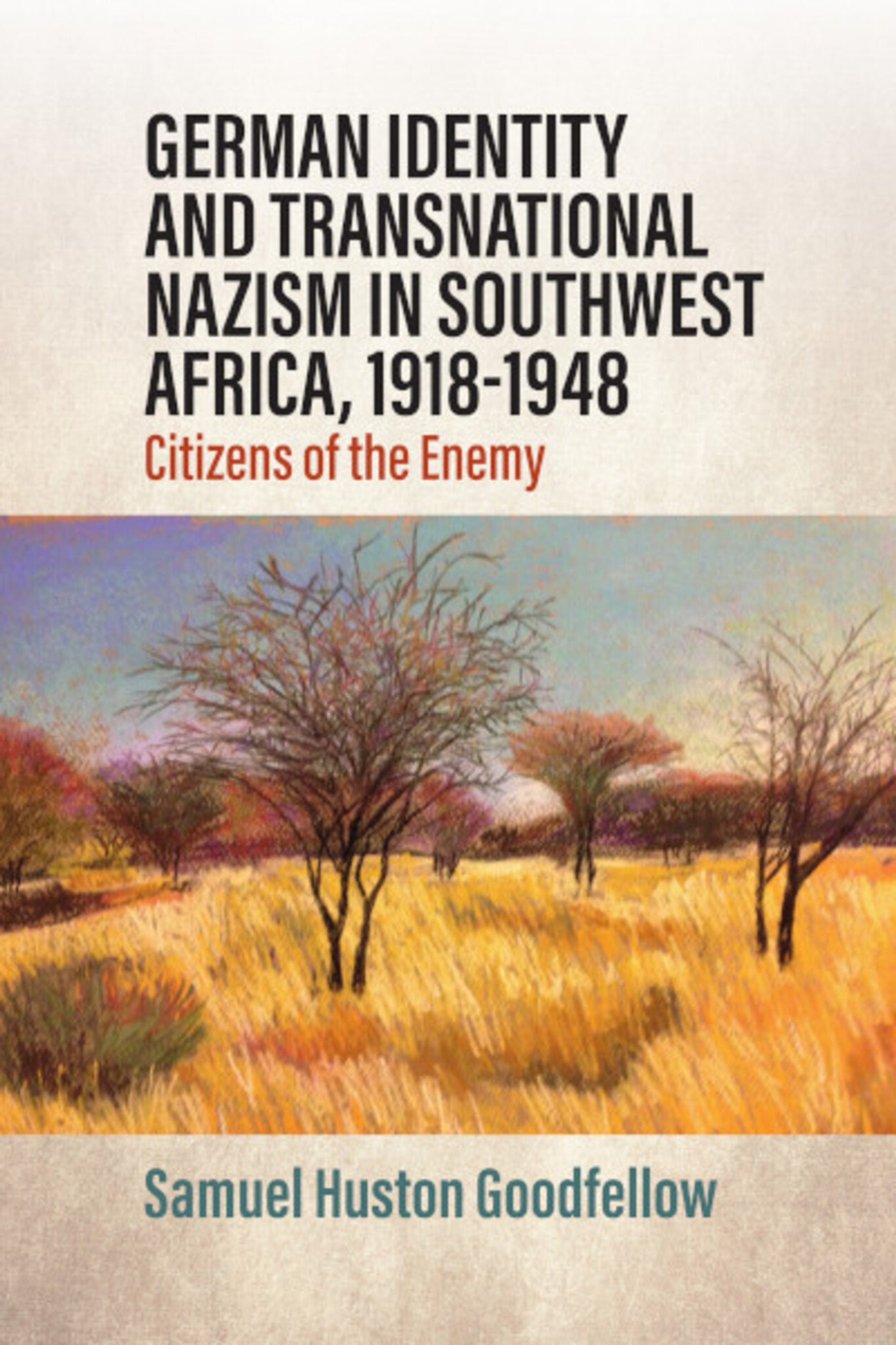 Cover image for German Identity and Transnational Nazism in Southwest Africa, 1918-1948 ISBN 9781807680060