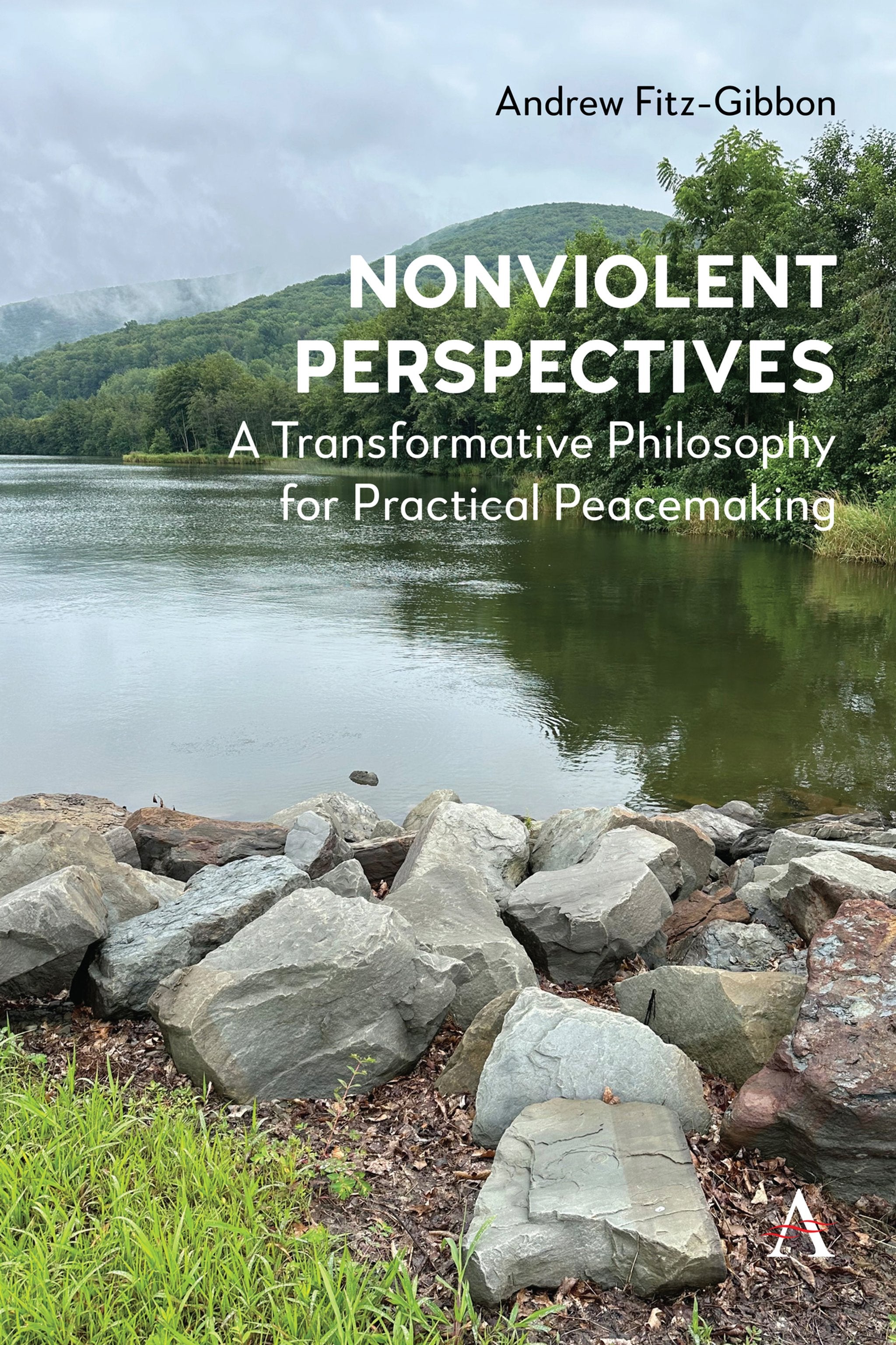 Cover image for Nonviolent Perspectives ISBN 9781839994425