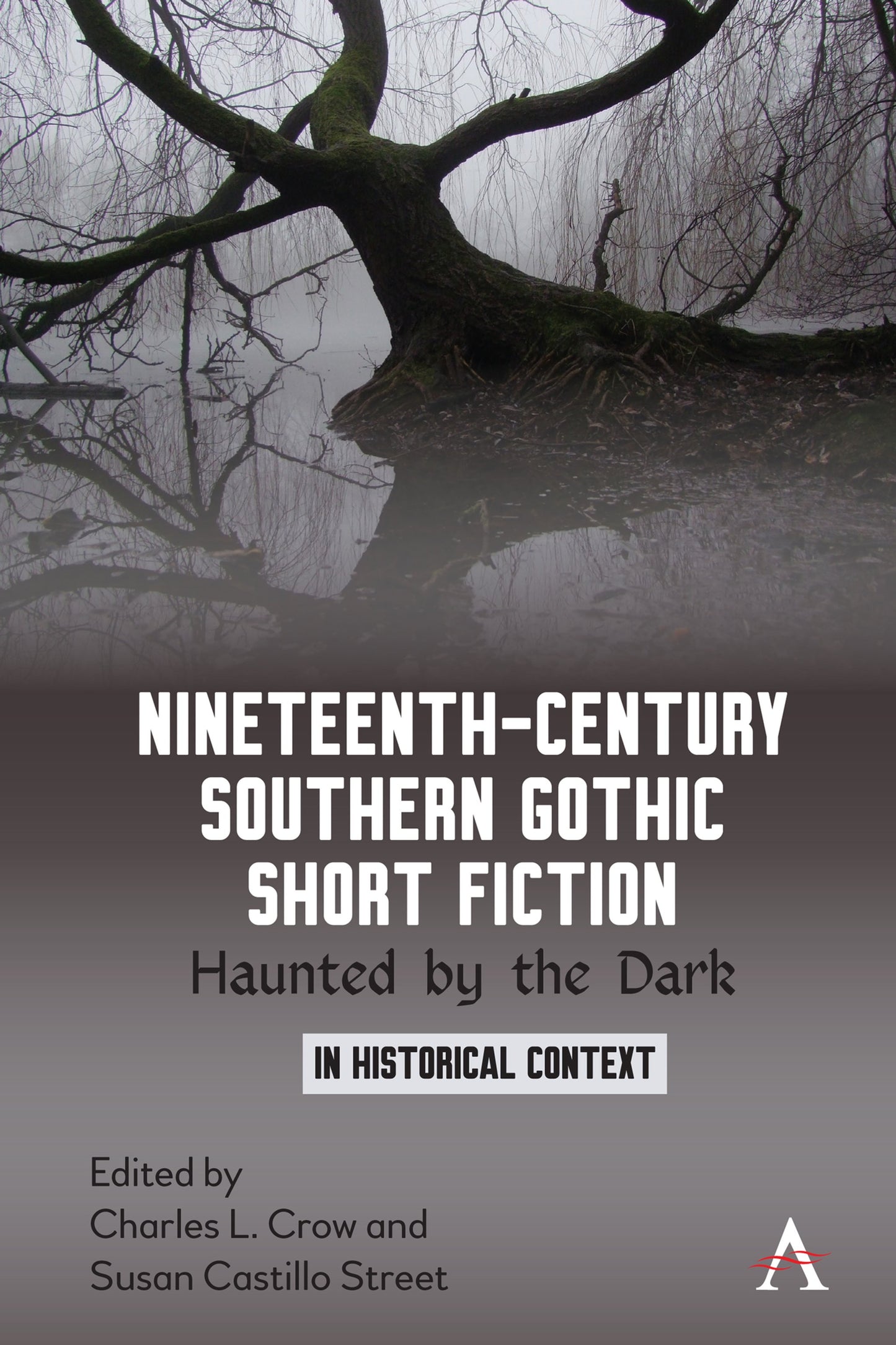 Cover image for Nineteenth-Century Southern Gothic Short Fiction ISBN 9781785273872
